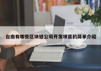 台南有哪些区块链公司开发项目的简单介绍